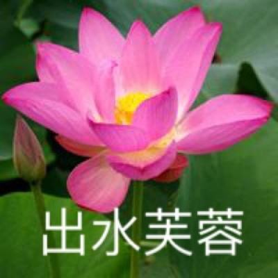 极致西游变态版手游下载